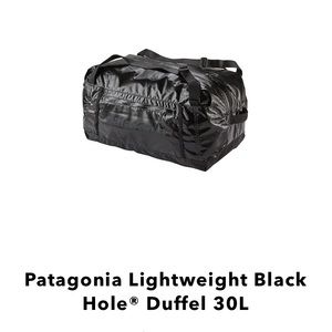 Patagonia Lightweight Black Hole Duffel 30L